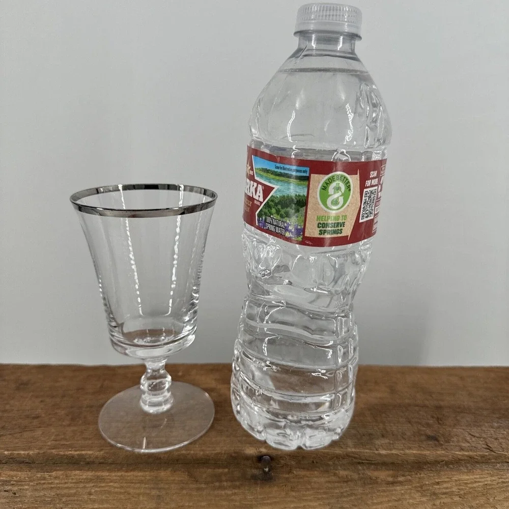 Crystal Sheffield Platinum Trim Water Wine Glass Fostoria‎ MCM 4.75